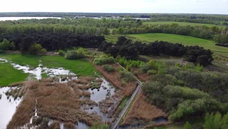 Aerial-view-above-the-belgian-wetlands-during-spring,-scenic-landscape-with-agricultural-fields-in-the-background