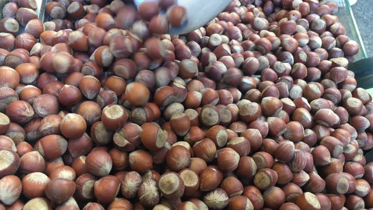 Nocciole con guscio, nocciole sgusciate, snack salutari, nocciole del Mar Nero, una grande palata di nocciole, frutta a guscio e frutta essiccata