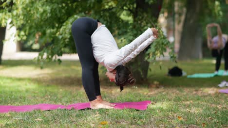 mujer practicando yoga al aire libre en un parque