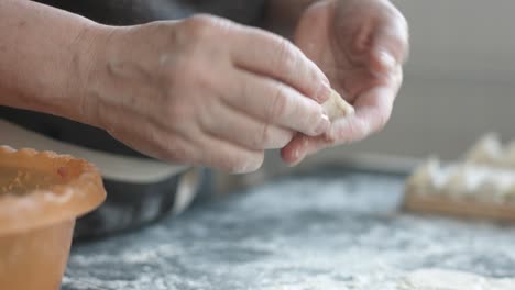 two hands making meat dumplings.