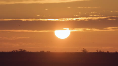 paisaje de sol al atardecer con nubes y pájaros volando en silueta