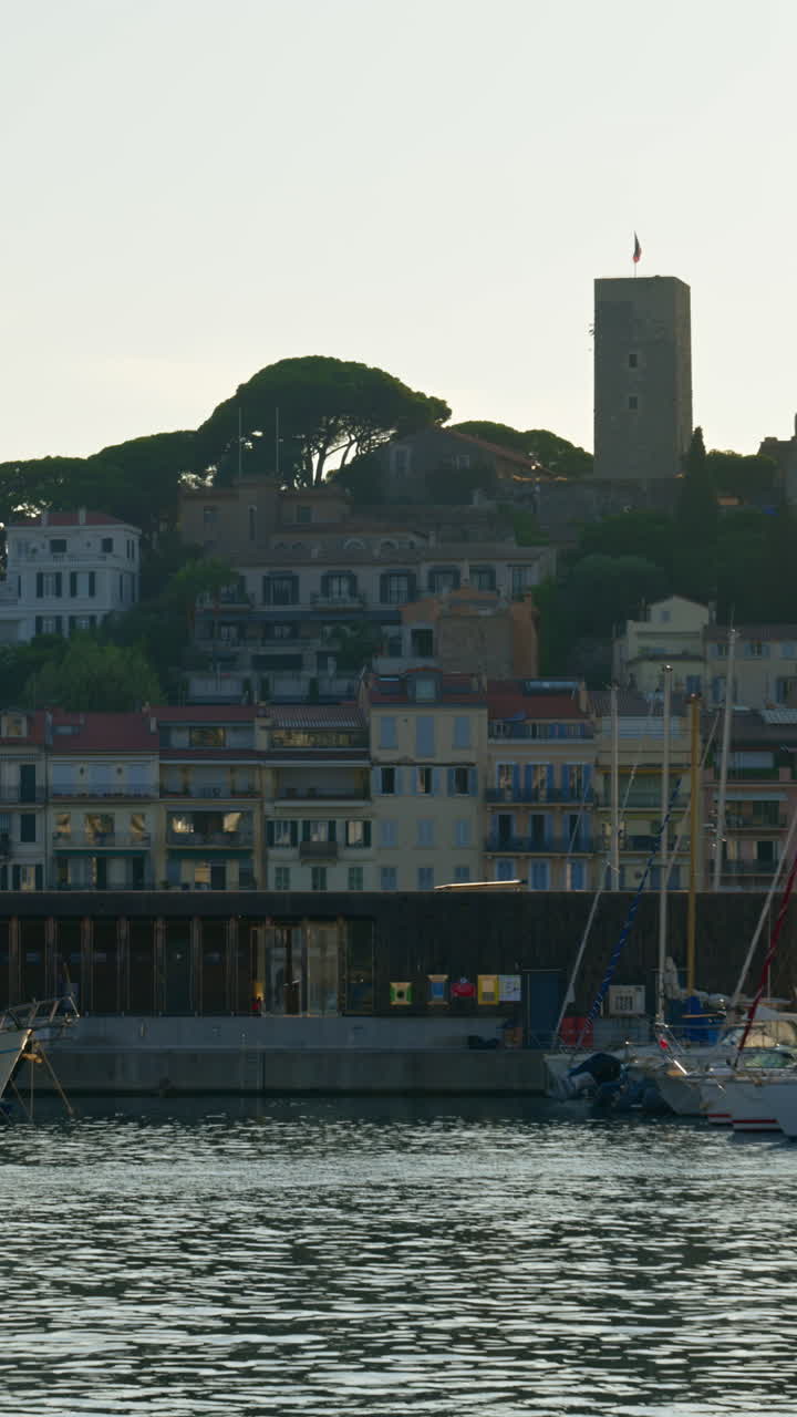Boats docked in the Port de Cannes, France in daylight. Vertical
