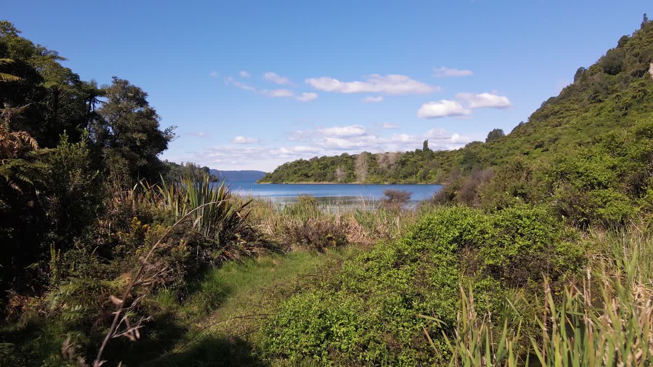 lenta entrada rodante desde dentro de la espesa orilla del lago hasta el agua azul.