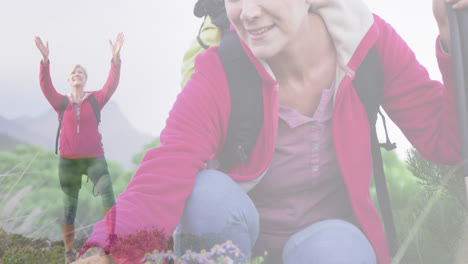 Composite-of-happy-caucasian-senior-woman-hiking-in-countryside-and-looking-at-plants