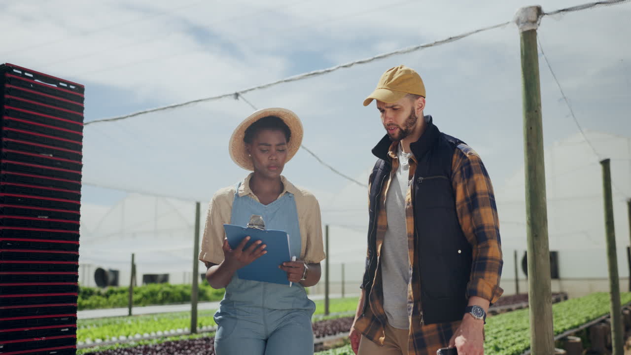 equipo agrícola discutiendo plantas en el invernadero