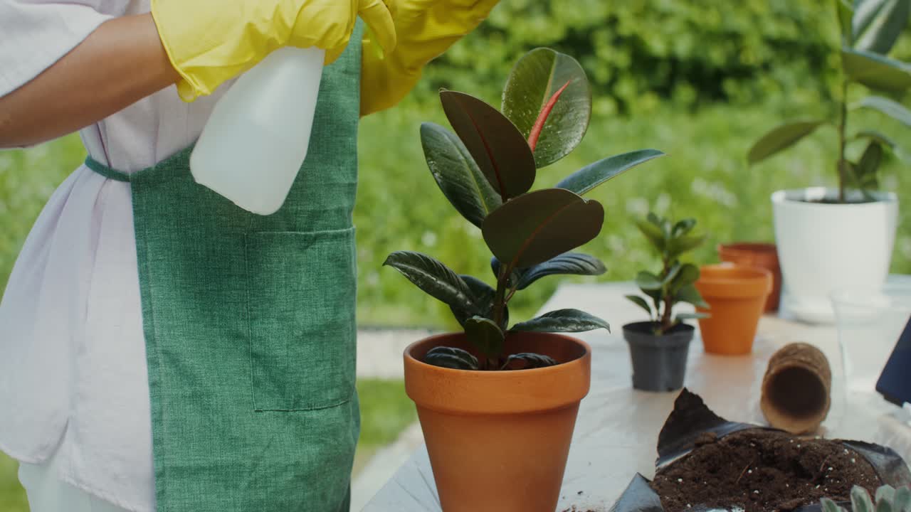 mujer regando plantas de interior