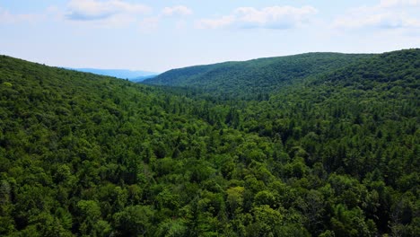 Vista-Aérea-Del-Bosque-En-Las-Montañas-Catskill,-Valle-De-Hudson,-En-Las-Montañas-Apalaches-Durante-El-Verano