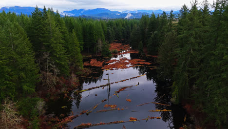 Pacific-Northwest-river-and-Evergreen-forest-with-mountain-range-in-the-background-in-Washington-State