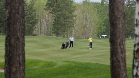 golfers playing on a golf course