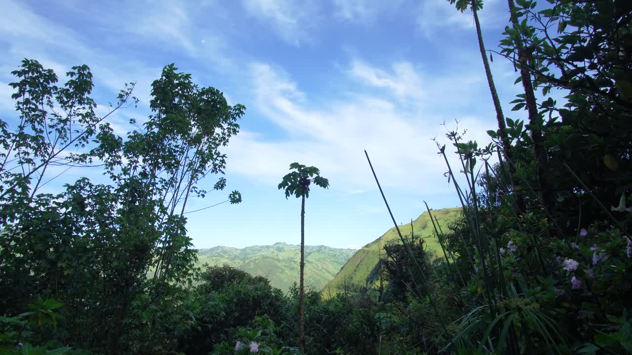 Timelapse shot of a lush mountain landscape framed by trees and plants, with clouds moving across the blue sky