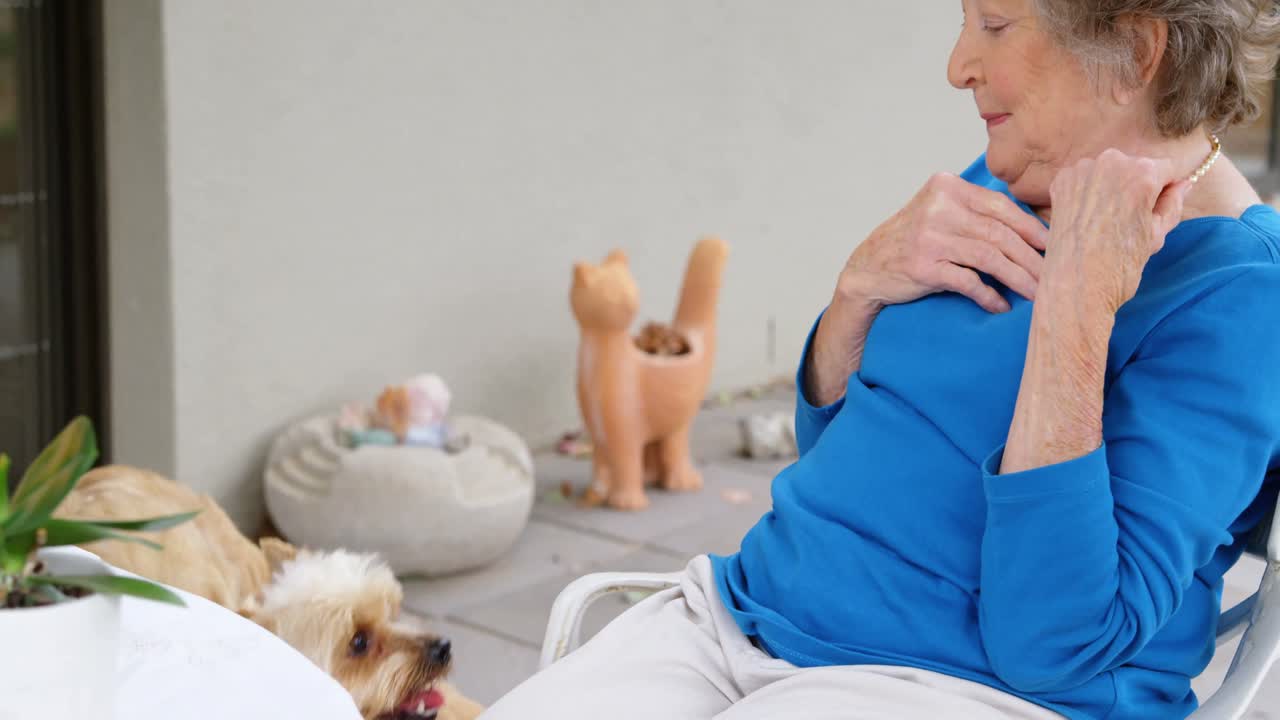 고령 여성이 개와 놀고 있습니다. 4k