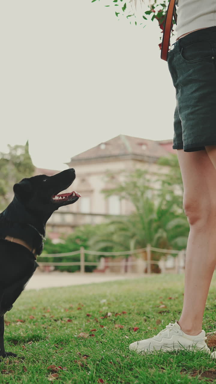 A person playing with their dog in a park