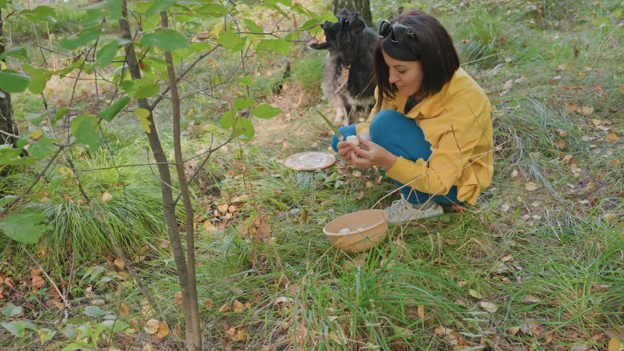 Mujer acampando preparando champiñones con perro, sentada junto a árboles jóvenes con un cuenco de madera, recortando los sombreros con un cuchillo, un perro negro atento al lado, luz de otoño, ambiente rústico de campamento, sonrisa relajada, estilo casero