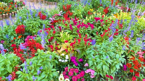 colorful flowers bloom in a lush garden