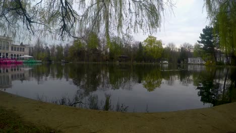 lago en central park y patos pasando