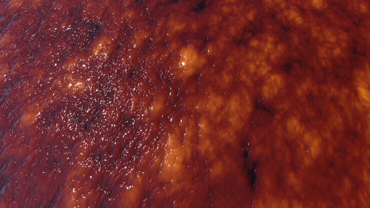 Abstract Red Liquid Texture