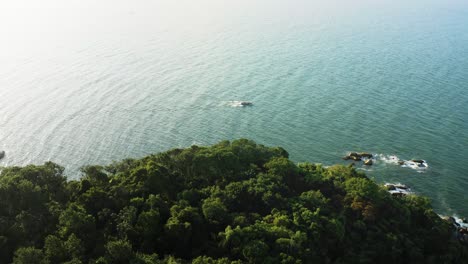 Establishing-shot-top-aerial-view-of-a-tradicional-wooden-fishing-boat-in-the-emerald-color-brazilian-ocean-during-sunset