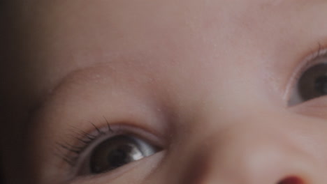 macro shot of a baby boy's eyes