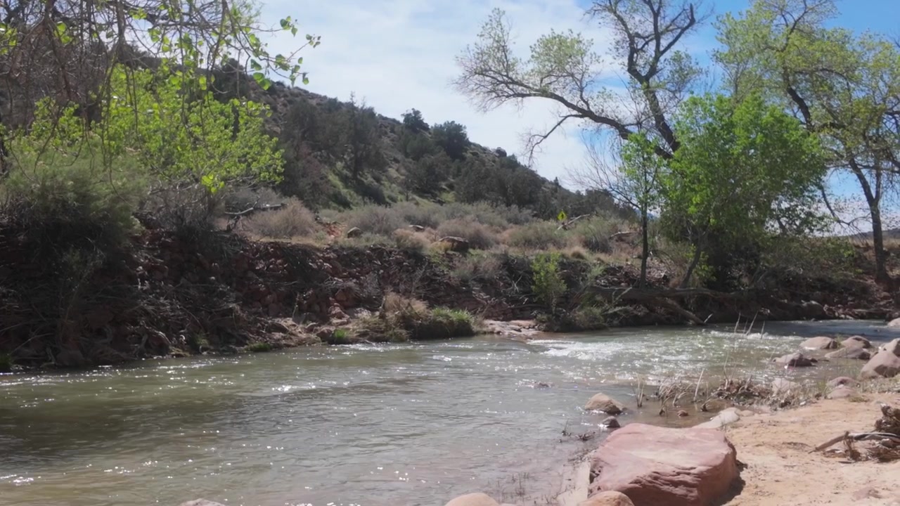 Il fiume incontaminato che scorre attraverso il Parco Nazionale di Zion in una giornata di sole