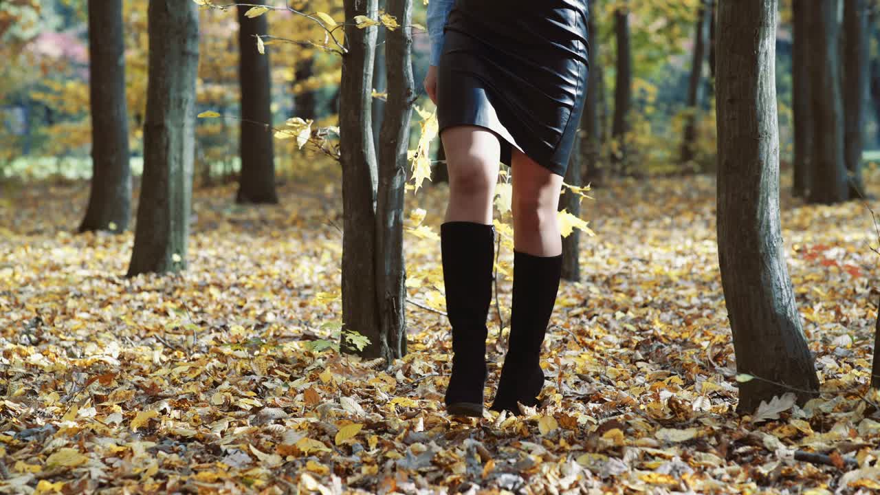 Woman legs in park. Close up of the walking woman legs in autumn park
