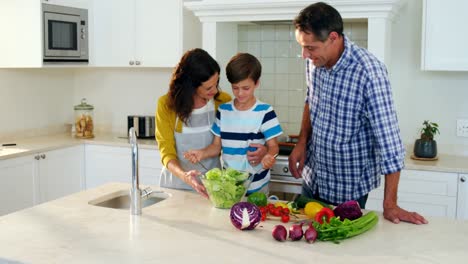 Parents-and-son-mixing-the-salad-in-kitchen