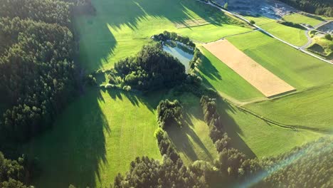 Vista-Aérea-Del-Paisaje-De-Un-Estanque-Escondido-Rodeado-De-árboles-En-Un-Valle-De-Montaña-Austriaco,-En-Un-Día-Soleado