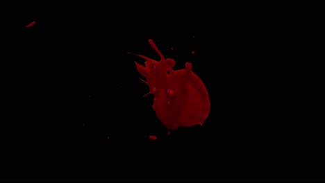 salpicaduras de sangre con fondo alfa 03
