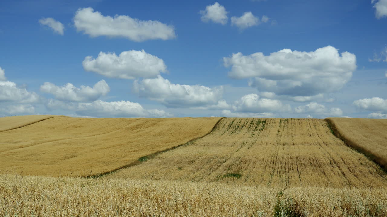 lapso de tiempo de nubes rodantes sobre un campo de trigo en el país