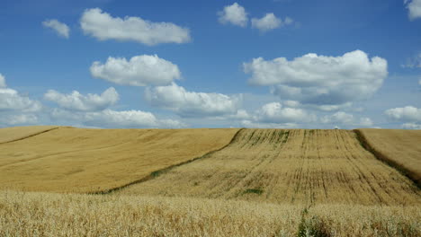 Lapso-De-Tiempo-De-Nubes-Rodantes-Sobre-Un-Campo-De-Trigo-En-El-País