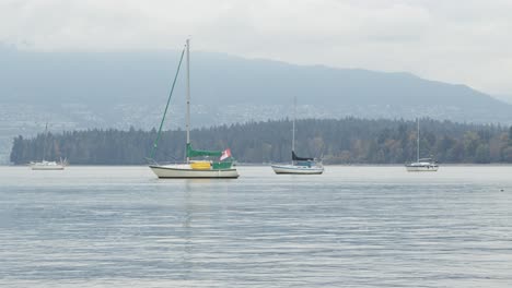 sailboats in front of stanley park - timelapse