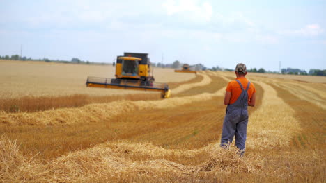 farmer looking on combines on field. agricultural machinery working on field during harvest. season of gathering crops.