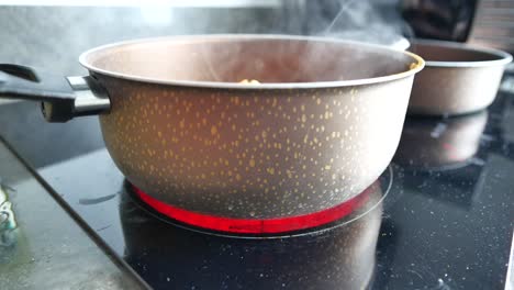 pot boiling on stove