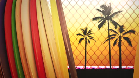 closeup surfing boards and tropical leaves with summer background 6