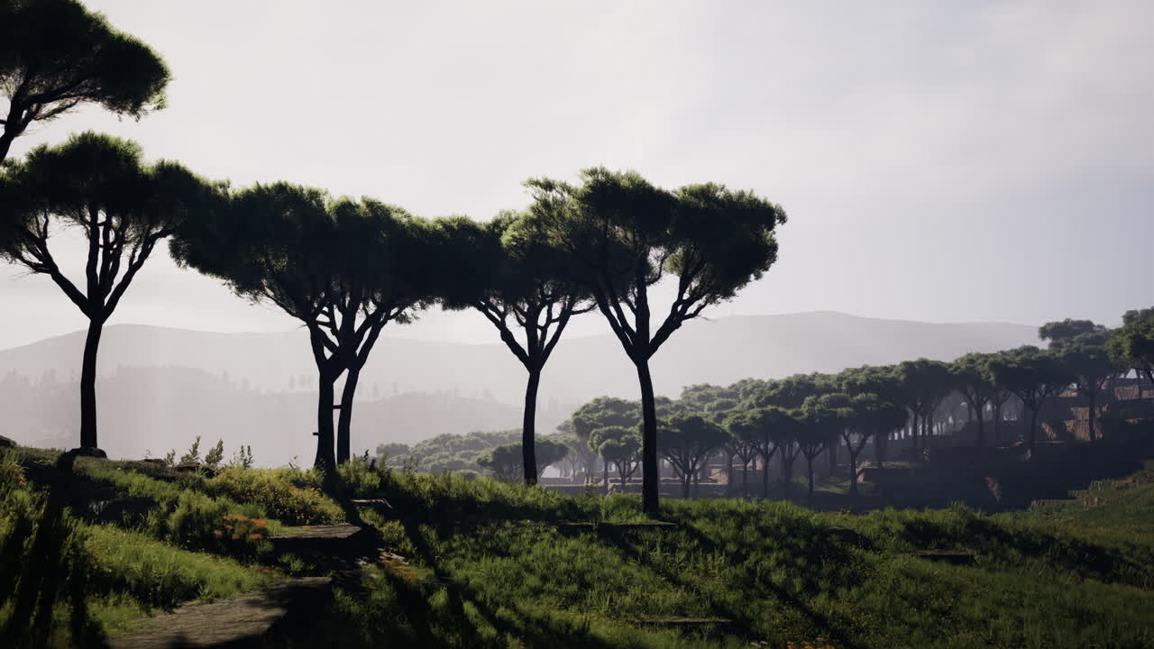 árboles de acacia dispersos lejanos que cubren las colinas en el paisaje africano en namibia