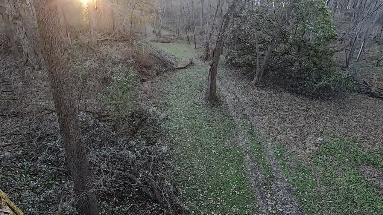 vista desde la rama de un árbol de un sendero atv que atraviesa un claro en el bosque en una tarde soleada de otoño