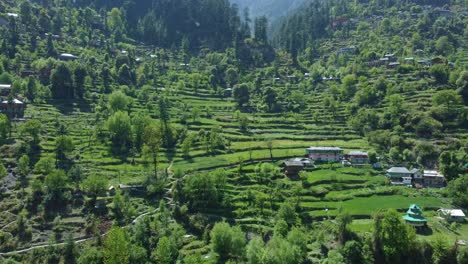 aerial view short of jibhi himachal pradesh in india. houses and trees in the mountainous area. faguli festival is one of the biggest festival in jibhi. the traditional houses here have stone roofs.