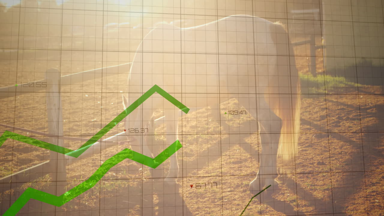 Green financial graph animation over horse grazing in sunny field
