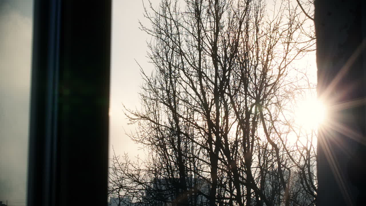 창문에서 보는 장면