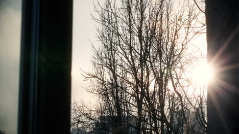 scene from window