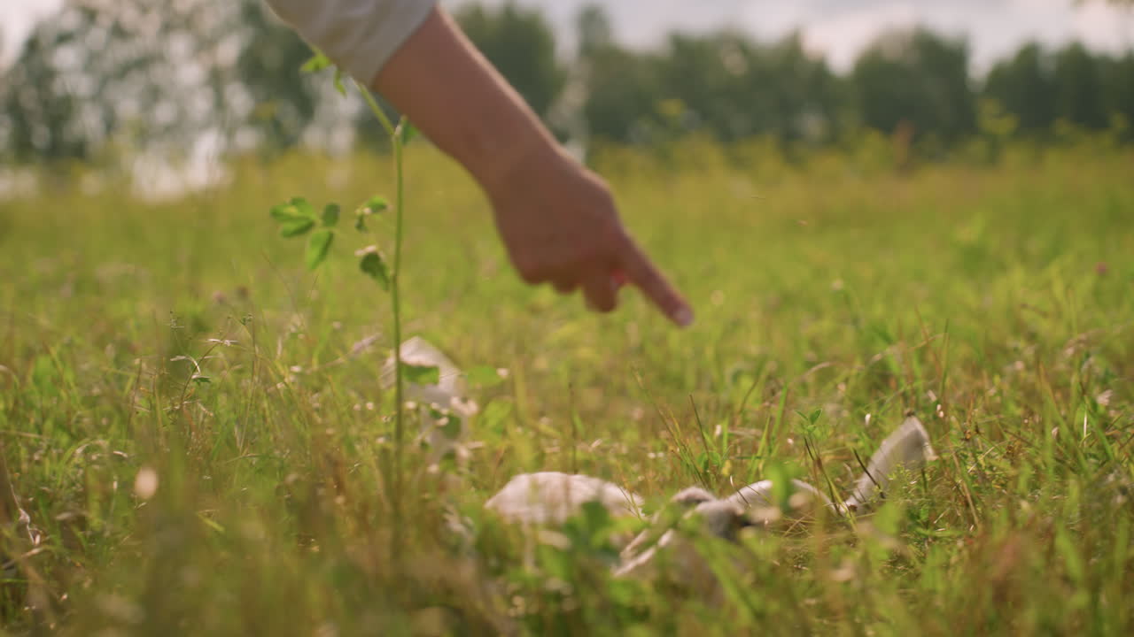 은 날 잔디에서 개와 함께 야외에서 놀고있는 사람, 개와 함께 지상에서 행복하게 굴러, 혀를 펴고, 울창한 초록색으로 둘러싸여, 개는 기해 보입니다.