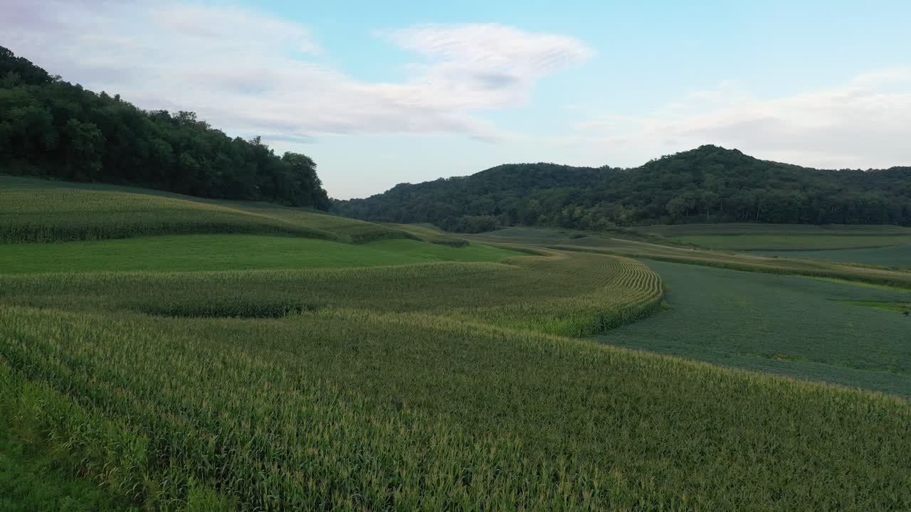 Aerial View of Cornfields and Rolling Hills