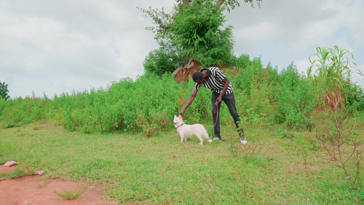 Black man gently petting white puppy in grassy field under overcast sky, striped shirt and jeans, bending to soothe dog, peaceful rural atmosphere, warm bond and slow movement between owner and pet