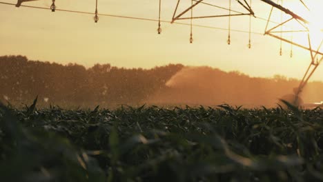 Agricultural irrigation system watering cornfield