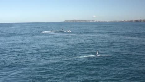 avistamiento de ballenas jorobadas en la costa de las playas del norte de sydney