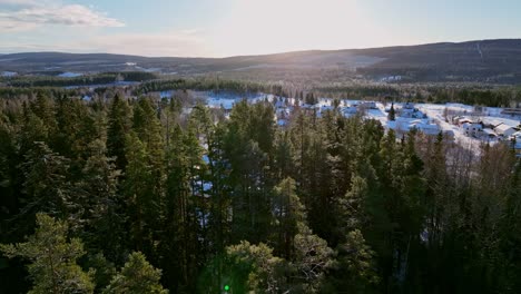 winter forest aerial view with a glimpse of skorped, sweden village, sunlight piercing through trees