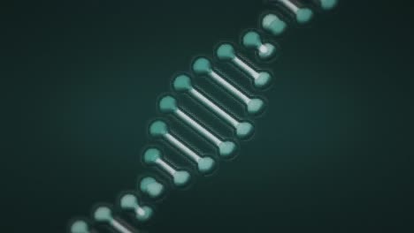 animación de manchas sobre la cadena de adn.