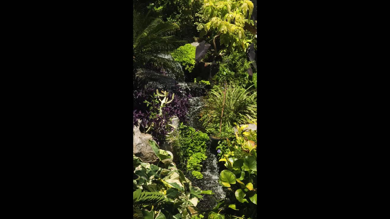 jardín de cascadas tropicales