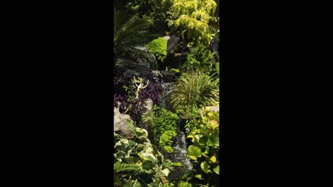 tropical waterfall garden