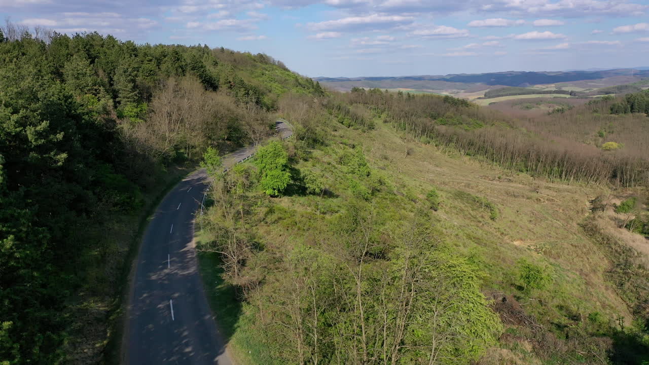 volando sobre un camino sinuoso en el bosque con árboles a ambos lados