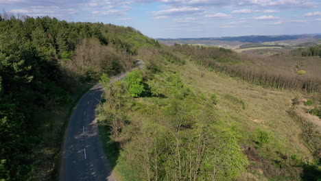 flying over a winding road in the forest with trees on both sides